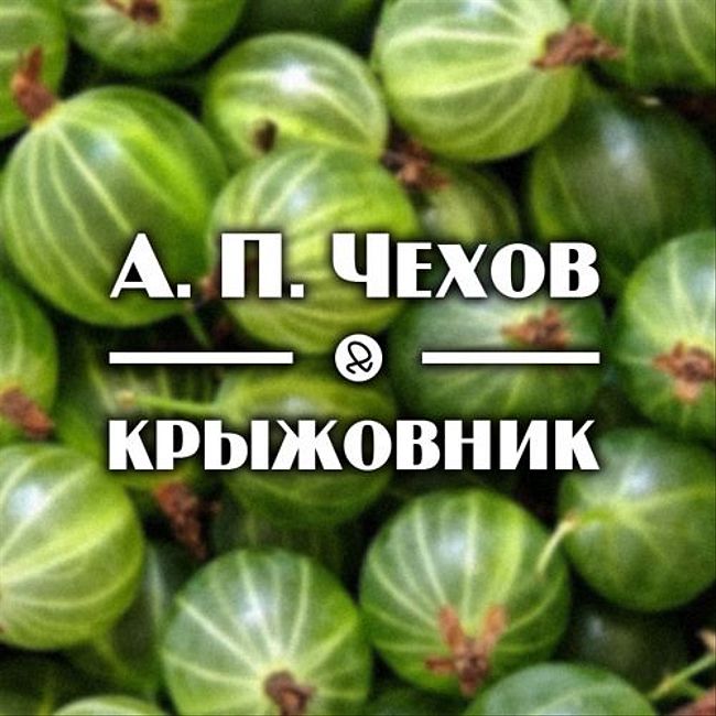 Цитаты из крыжовника Чехов. Чехов крыжовник вы взгляните на эту жизнь. Диван крыжовник. БМВ крыжовник.